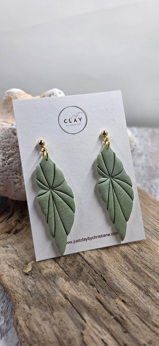 Philodendron Leave Dangles